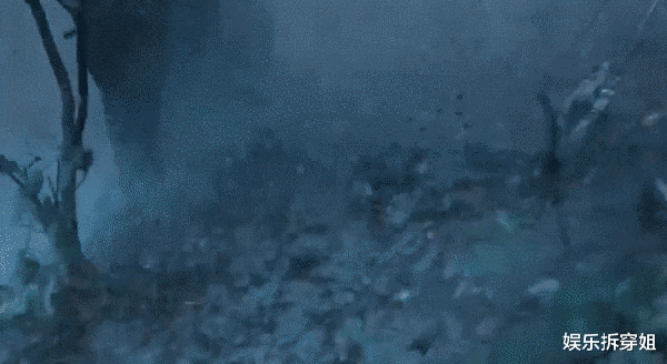 张亮|号称投资1.2亿的《智异山》，全智贤竟然翻车了