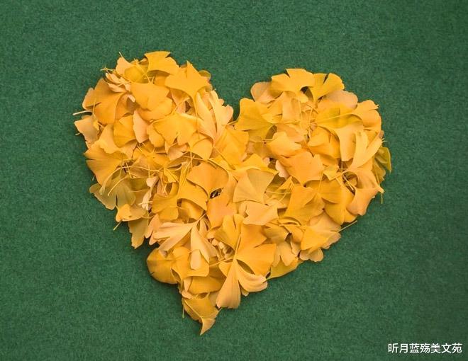 昕月蓝殇美文苑|有一种爱，叫陪伴一程，惦念一生