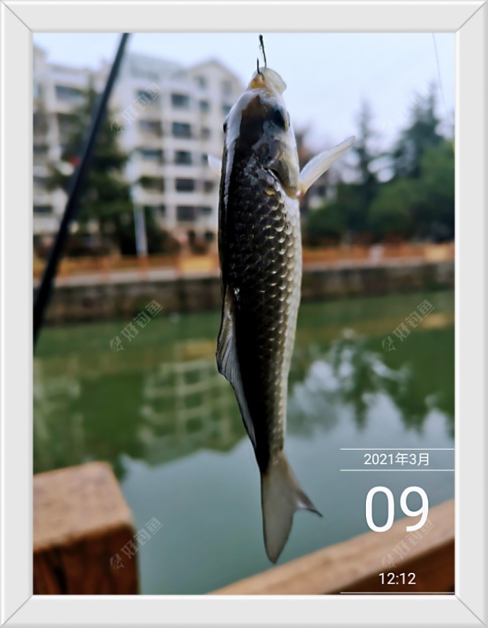 沙滩|早春同一窝点 不宜多次作钓