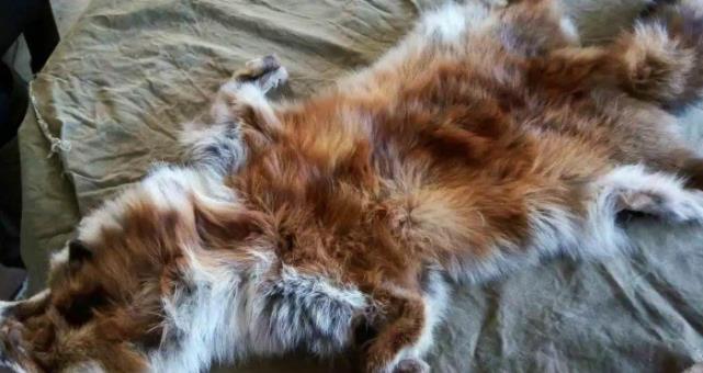 果莓妈咪说 曾经一件能卖出上万元，如今甩卖都没人要，为何民众不去买了