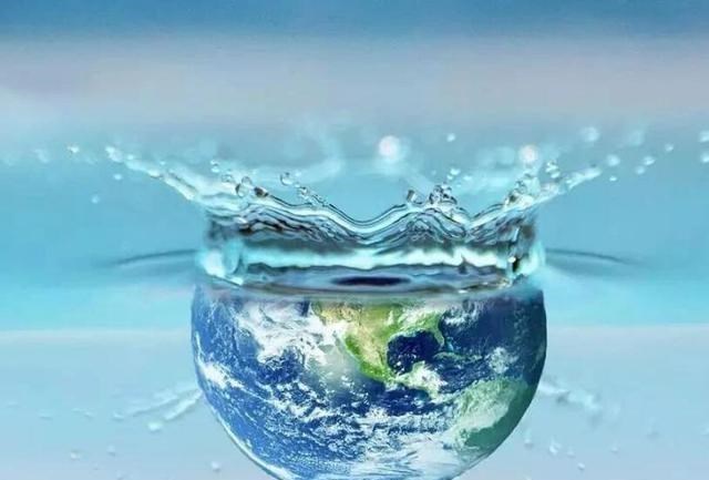 野生动物 为什么地球选择了碳基生命,而非硅基生命?宇宙中存在硅基生命吗