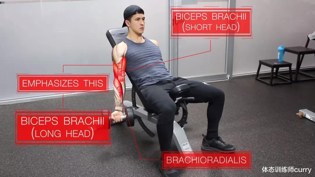 哑铃|一套最全面高效的「上半身」训练，胸背肩臂都能练到！