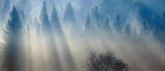 丁达尔效应 “丁达尔现象”在湖南出现，光芒万丈十分耀眼，这现象是好是坏