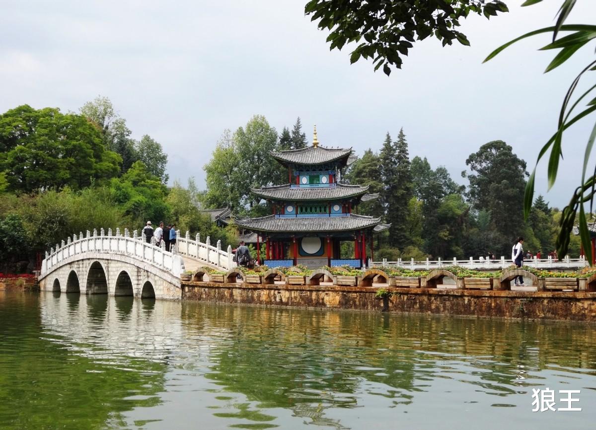 狼王|在女婿家住了大半年，拆迁款却全给了儿子，二老最终却无家可归！