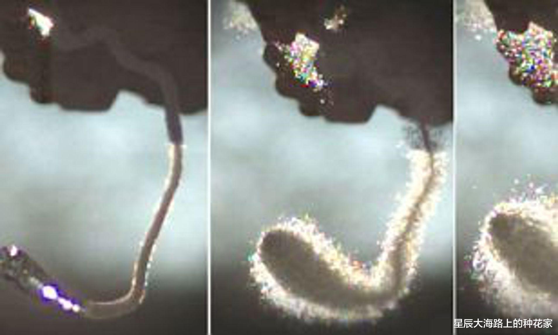 星辰大海路上的种花家 世界上最硬的鲁伯特之泪，扛得住子弹和铁锤，为什么一捏就碎！