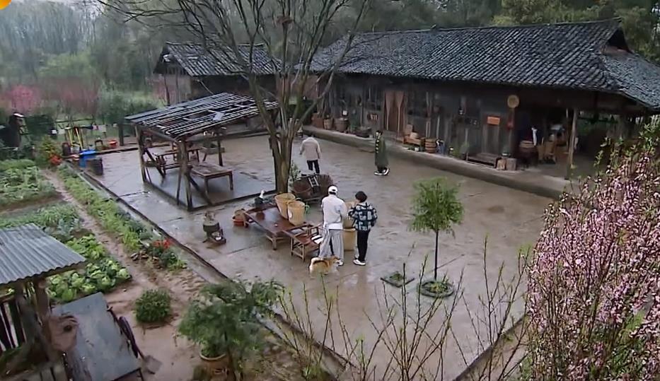 黄磊|《向往的生活5》：让黄磊找回笑容的秘密，张子枫一语道破