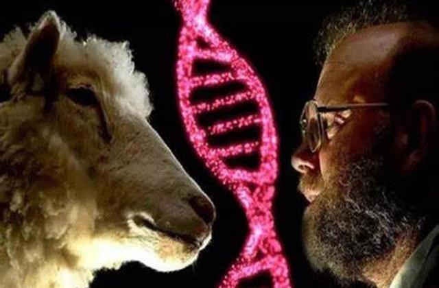 狂犬疫苗|“克隆”为何“销声匿迹”了？从多莉的一生窥见答案，太可怜了