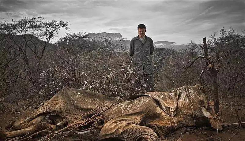  1972年一本平平无奇的书，预言了地球的命运，为何现在都实现了？