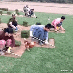 王者星座之说|“提醒女孩子，上完大便后千万不要往前擦...”哈哈哈哈哈，评论区亮了