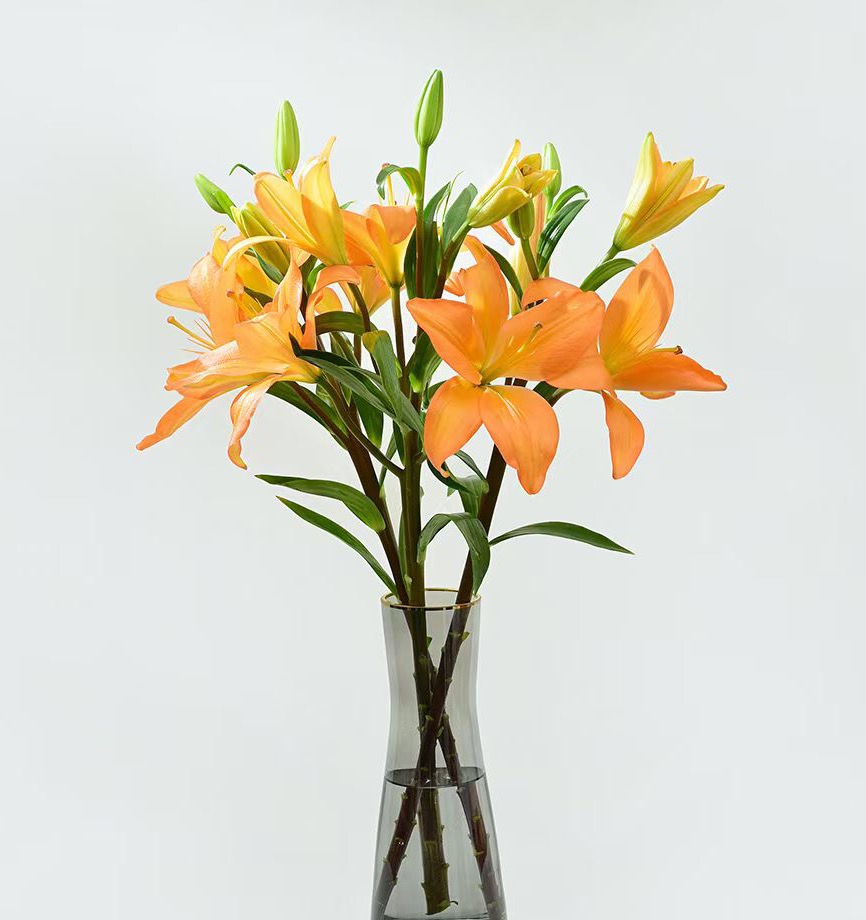 |职场中常见打压手段有哪些？