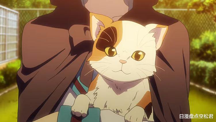 鏟屎官|動漫里這些毛茸茸的貓，你想做誰的鏟屎官？