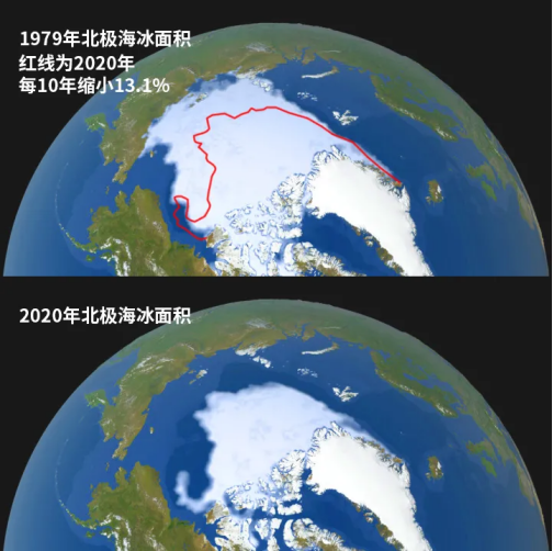 科学家 地球“生命体征”减弱，国家食养师呼吁： 多食植物源食物，爱护地球家园