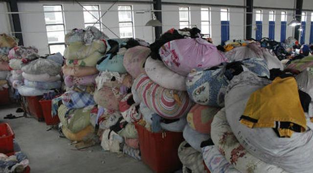 小龙龙 家门口就有能赚钱的生意？很多人都随手一扔，却有人靠“它”发财