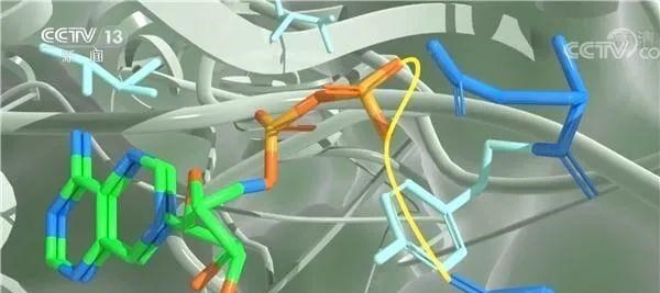 青霉素 颠覆性科技突破，中国跨出了人造粮食的第一步