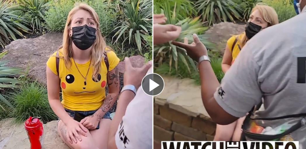 优美生态保卫者 美国妈妈带女儿逛公园，因短裤太短被报警，5年不得进入公园