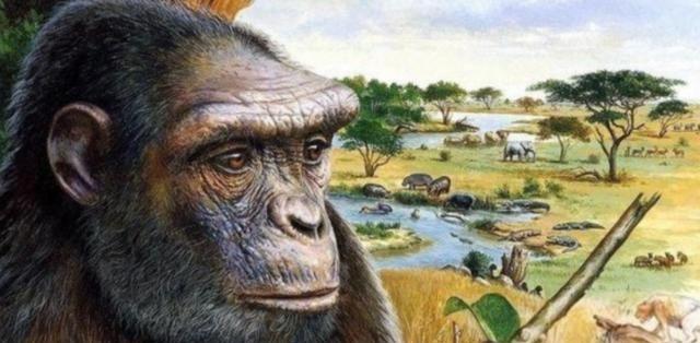 从进化论上说,白种人的体型,为什么比亚洲人、中国人高大?