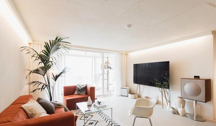 受不了996的生活,全家搬迁远郊89平老房,养7只猫!太解乏了