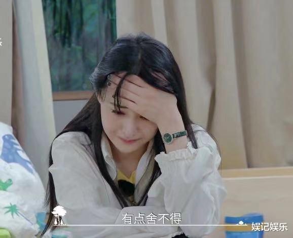 郑爽|再曝聊天记录或反转？张恒求郑爽原谅，让她继续喊自己“小动物”