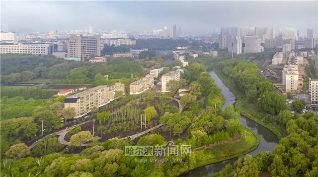 哈尔滨新闻网 好多美图｜景美人少不堵车，香坊10个免费大公园五一来逛逛