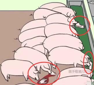 漫画|这组小漫画全看懂了吗？重点第二个故事，可能有多种答案