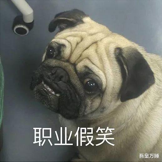 |自我催眠一下，生活会好过很多……