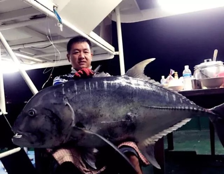 象牙 人类好心办坏事：“抓大放小”，可能让大鱼被迫进化成小体型