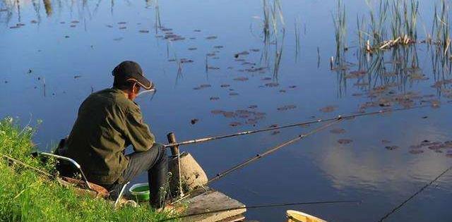 甘蔗|湖南一男子罕见钓获10斤的大王八，老人却让他放生，最终会怎样？