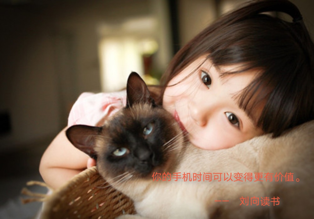 “善良”是真正的竞争力
