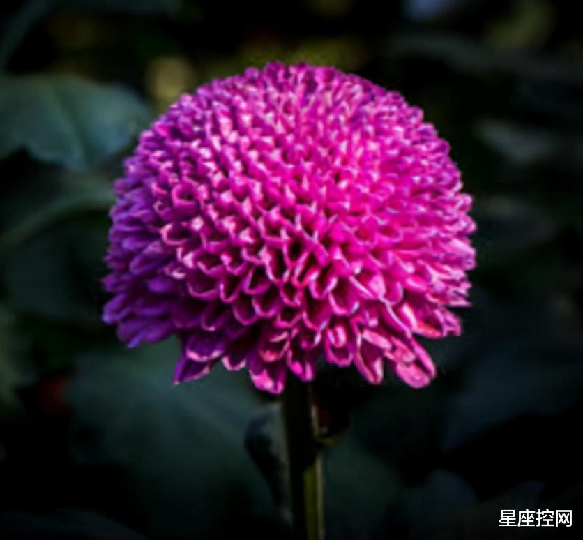 |哪几个时辰出生的人，尽管面临困难，仍然能够迎难而上，福报连绵