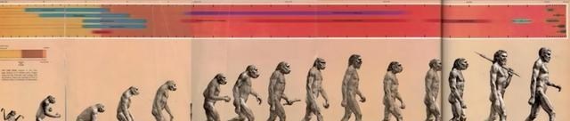 恐龙 恐龙称霸地球上亿年，为何没有像人类一样，进化称高等智慧生物？