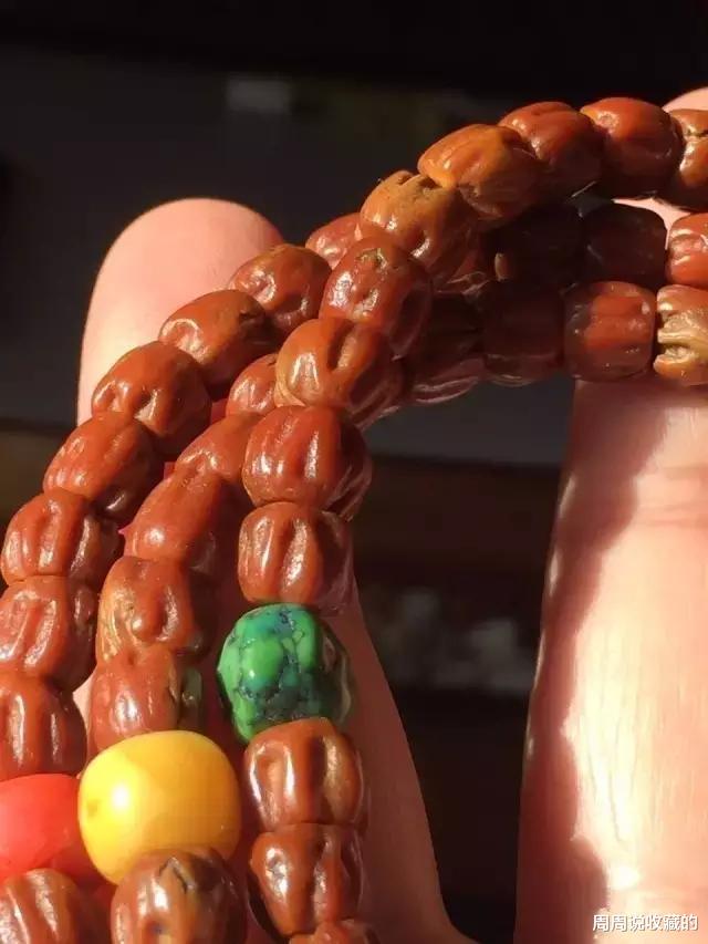 菩提|菩提品种太多不知道怎么选，其实文玩圈主流菩提并不多，只有四种