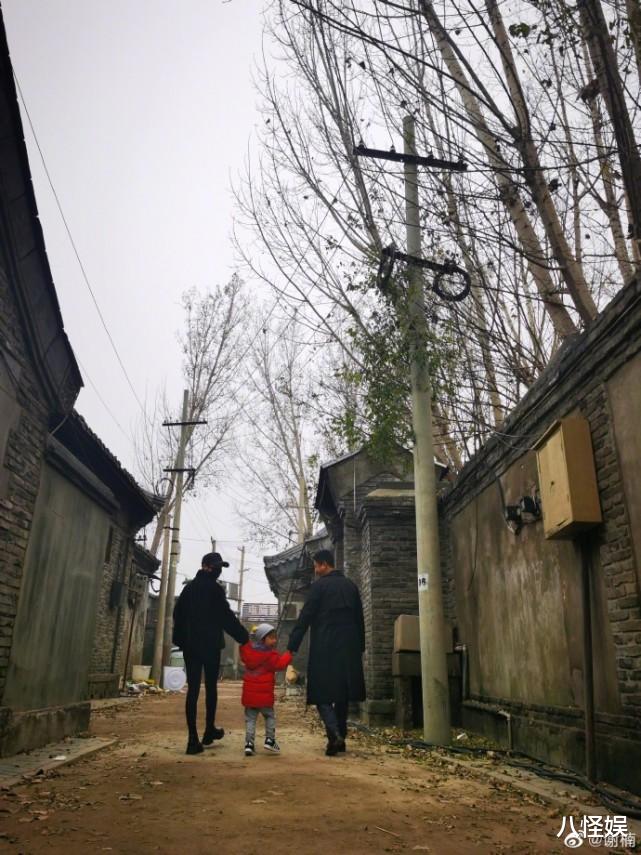 谢楠|谢楠晒3岁儿子看书照，吴老二一脸认真还质疑，网友齐呼“学霸”