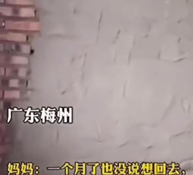 陈亮聊生活 广东：男孩不愿上学，妈妈让他到工地抹水泥，干一个月不愿回去了