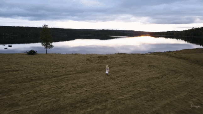 李子柒|李子柒断更5个月后，隐居11年的北欧仙女火了！引500万粉丝围观