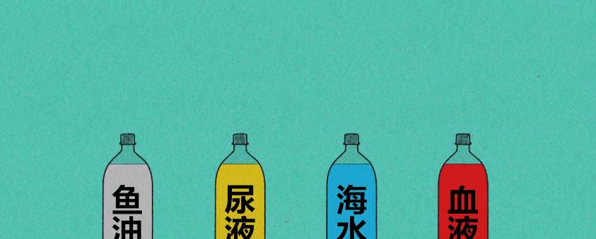 汪品先|鲨鱼对血腥的感知力有多强？真的可以嗅到几公里外的一滴血吗？