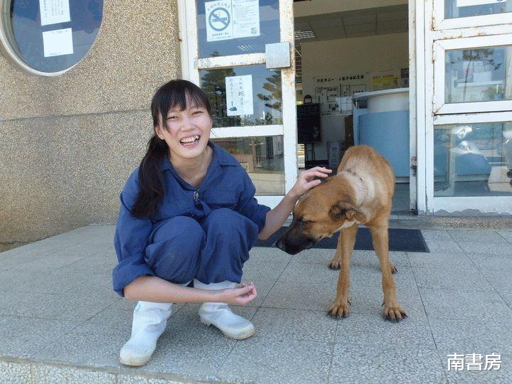 南書房 26岁女孩简稚澄，曾帮助上千只狗“安乐死”，遗言有句话令人难忘