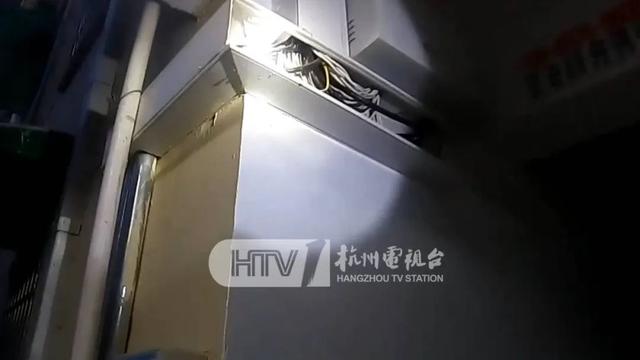 生活报 “什么东西掉到了头上？”男子抬头一看，吓到腿软