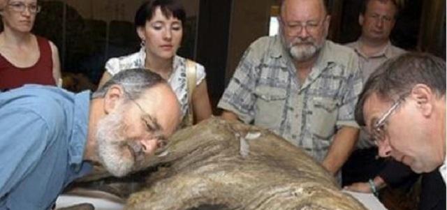 南宁 俄罗斯科学家为求永生，注射350万年前“猛犸象细菌”，现在如何