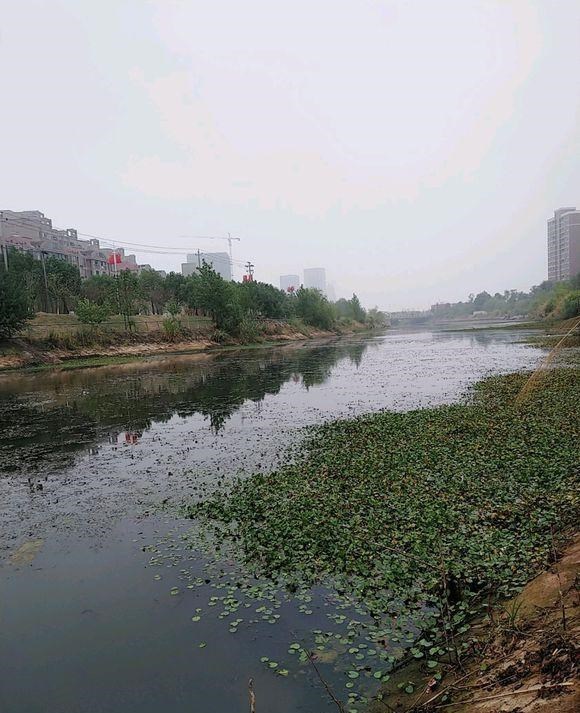 育儿心课堂|夏末秋初气不好钓不到鱼？事实上这几个钓点很难走空