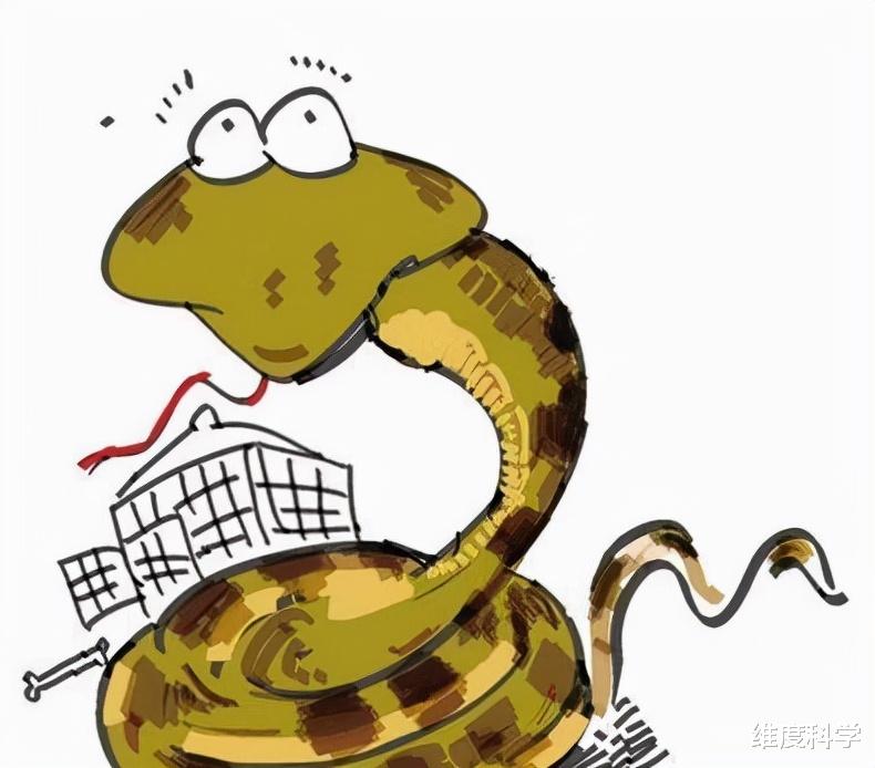 毒蛇 民间有“一里有菜花，十里无毒蛇”的说法，菜花蛇真这么厉害吗？