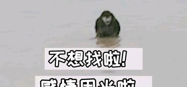 贯丹萱 浙江一男子半个月内两次为爱轻生，疯狂大笑：再见，再也不回来了