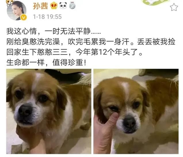 刘恺威|盘点各大明星对郑爽代孕事件发声