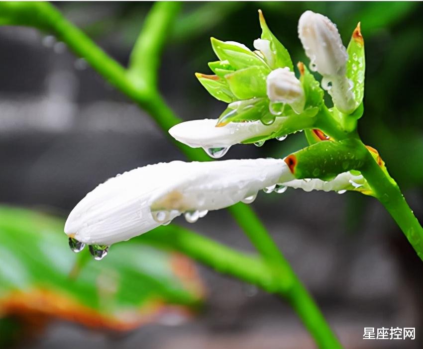 |啥日子出生的人，曾经失败受挫，熬过艰难期，人生走向胜利辉煌