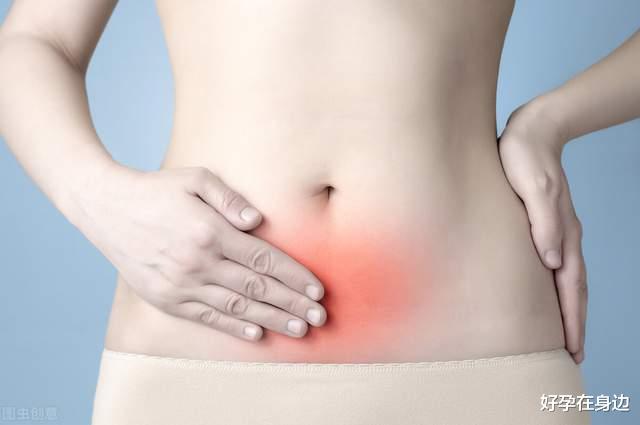 好孕在身边|女性在月经周期中，子宫会出现怎样的变化呢？