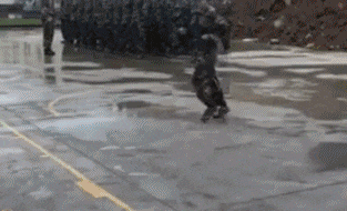 彩礼 谁能救我爸就嫁给谁，先给彩礼40万我就呵呵了，网友：就怕慢慢还