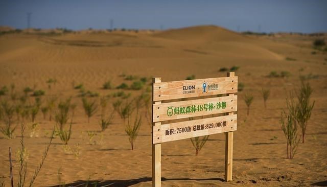 碳交易 我們都低估了馬云，螞蟻森林瞄準了碳交易，下一個萬億級市場