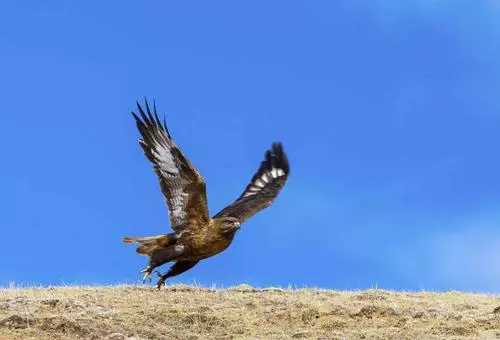 |辛巴归来。账号解封！7000万粉丝苦盼归来开播。