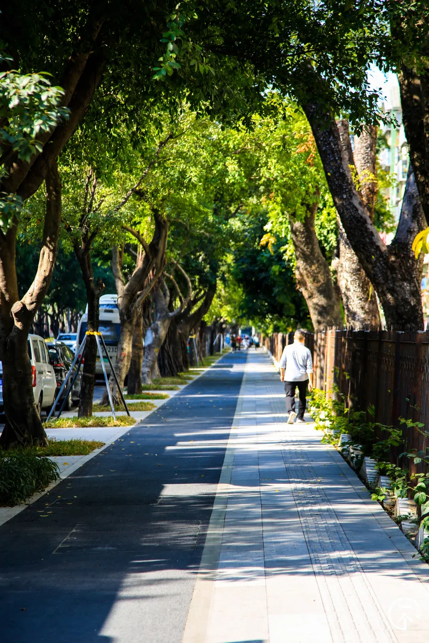 楼市|误入南山“少林村”，月入过万只能勉强合租？