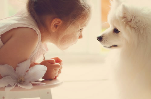 知一先生|女孩姓魏取名起名字：魏姓女孩洋气好听的名字