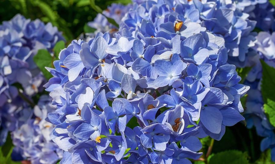 小幸运|2021下半年职场运极佳的星座，各种小幸运不断，事业发展势头迅猛